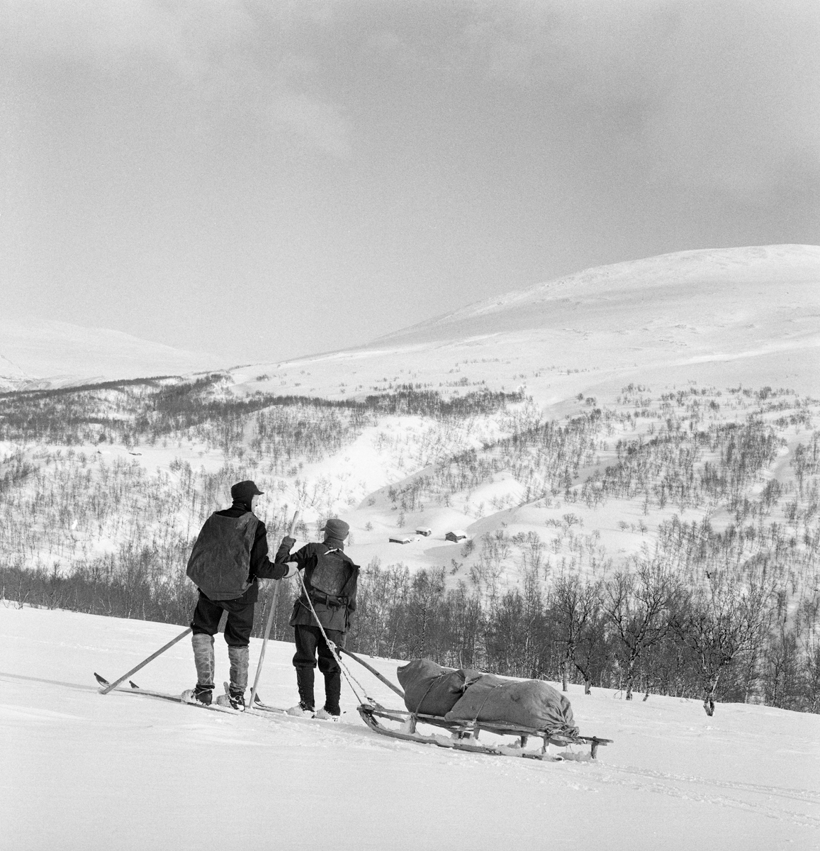 Snarefangst etter rype, Lesja i mars 1968. Transport av ryper med skikjelke. T.v. Edvard Dorseth, Lesjaverk, t.h. Ola Bergene fra Bjorli.