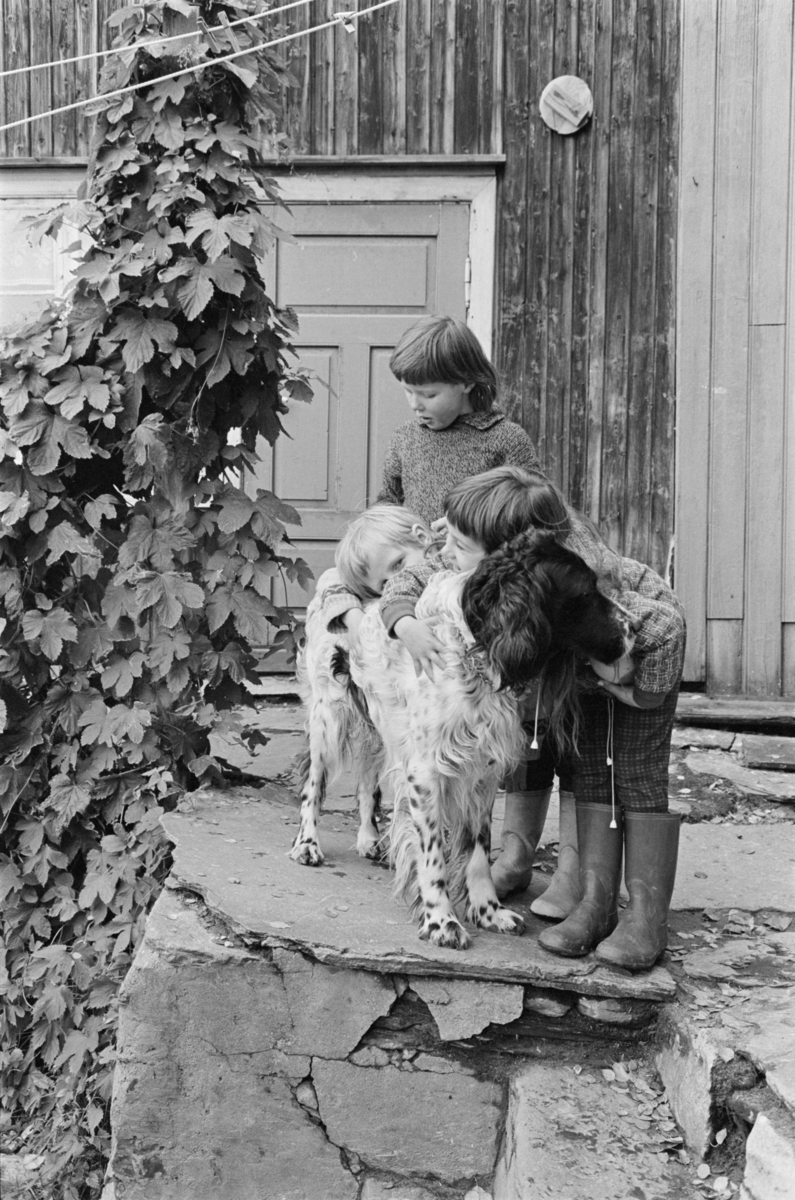 Portrett av barn som koser med en hund.