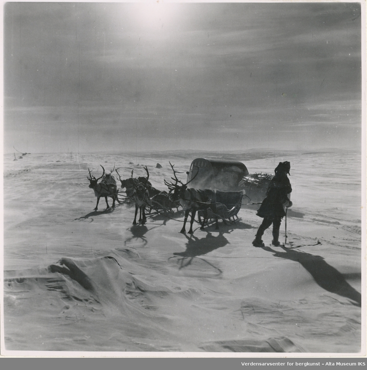 Vinter på Beskades. Samisk mann med fire rein som trekker på slede møter en snøskuter, muligens av merket Bombardier 1949 B12.