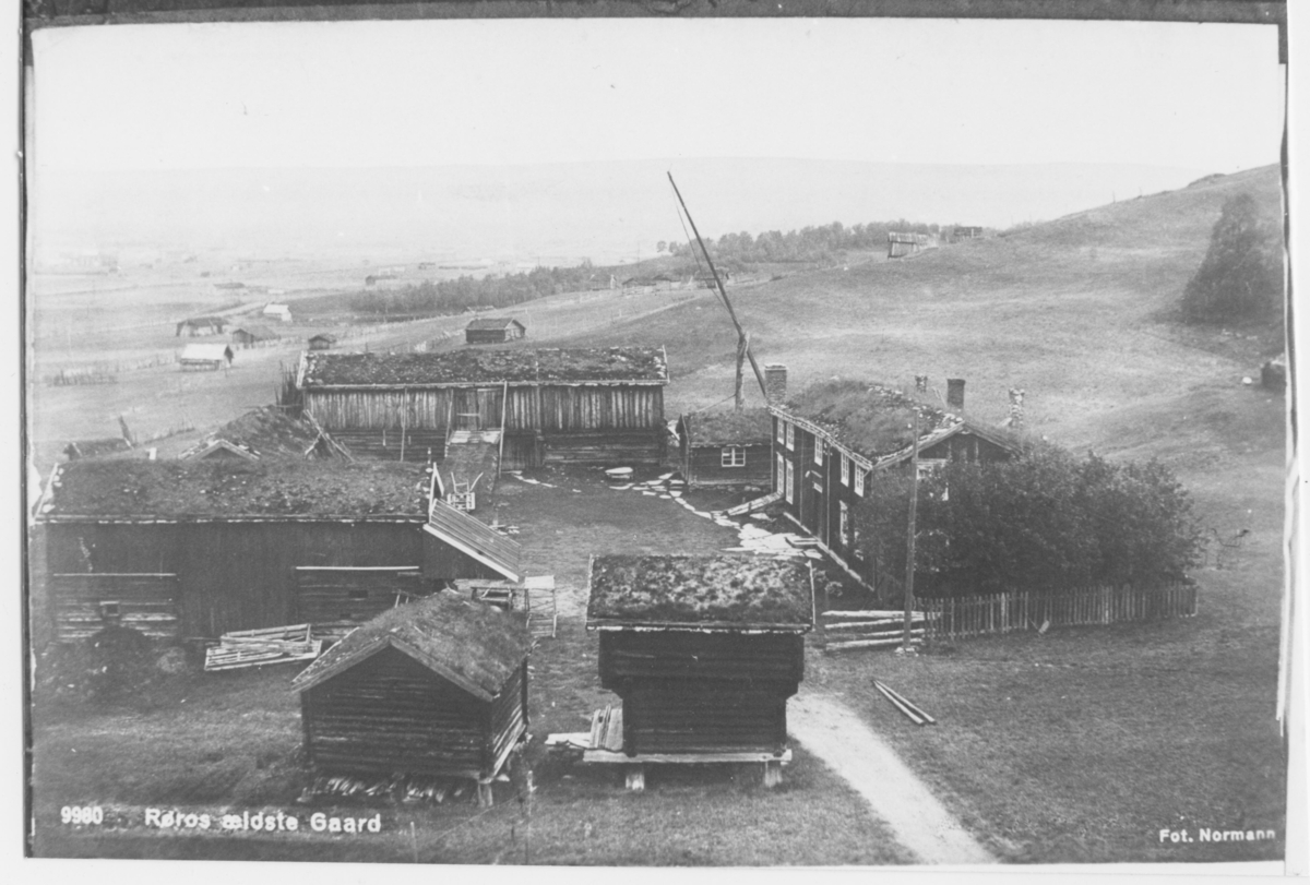 Rorøs, eldste gård