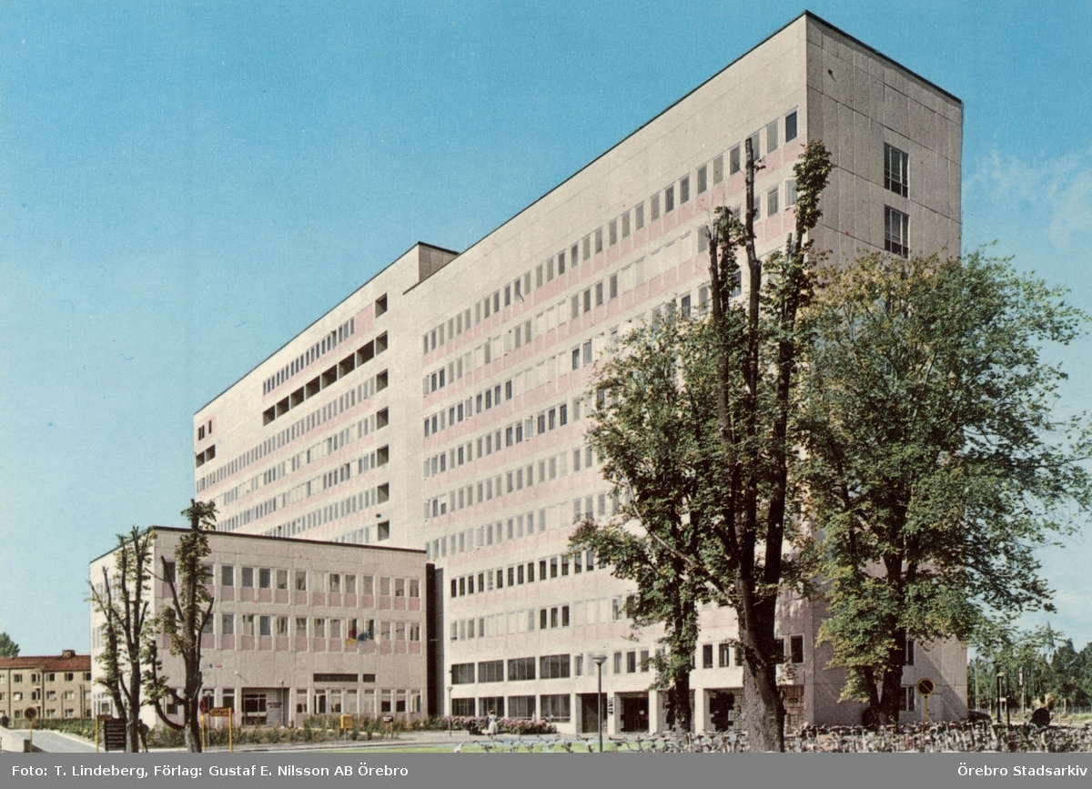 Regionsjukhuset