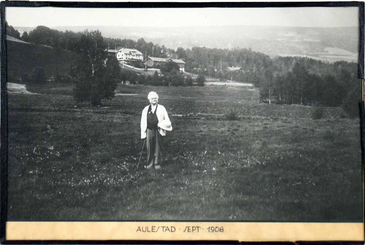 BB med stokk og hatt i hånden. Han er fotografert på jordet nedenfor Aulestad.