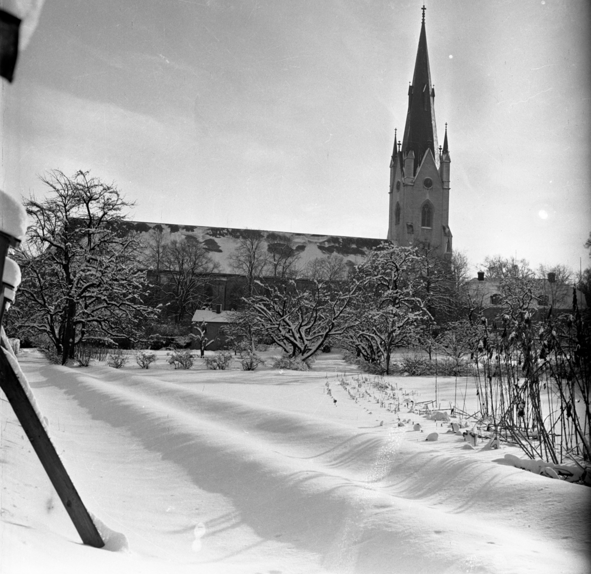 Museiparken en vinterdag. Domkyrkan i bakgrunden.