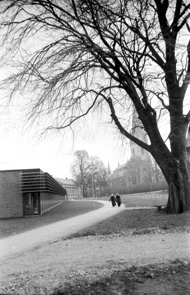 Biblioteket mot slottsparken.
Stadsbiblioteket: Efter en arkitekttävling 1966 ritades och inreddes biblioteket av arkitekterna Bo Cederlöf och Carl-Ewert Ekström. Byggnaden öppnades för allmänheten 1973-11-03, men invigningen skedde först 1974-06-06. Natten mellan 20-21 september 1996 utbröt en brand och huvuddelen av biblioteket förstördes.