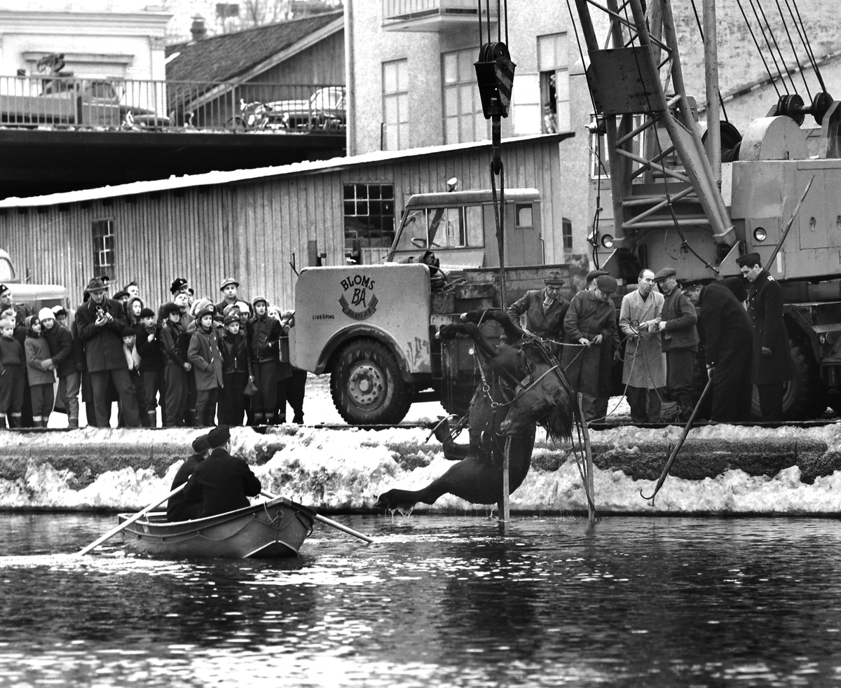 Häst och vagn som kanade ner i Stångån lyfts upp med hjälp av kranbil från Bloms Åkeri, 1958.