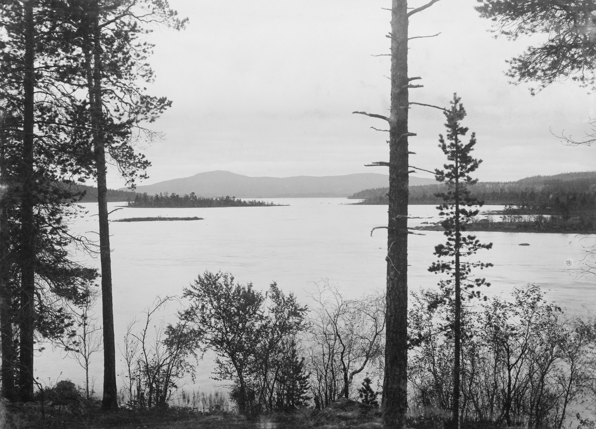 Landskapsfotografi fra innsjøen Vaggetem i Sør-Varanger.  Bildet er tatt fra ei strand der det vokser furutrært og bjørkekratt.  I og omkring sjøen ses holmer og nes med samme type vegetasjon. I bakgrunnen fjellet Galgo Vaivve. 