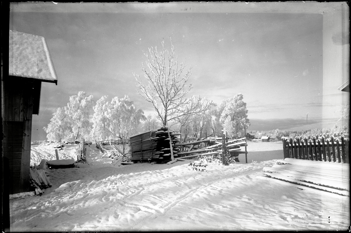 Vinterbild - Västergötlands museum / DigitaltMuseum