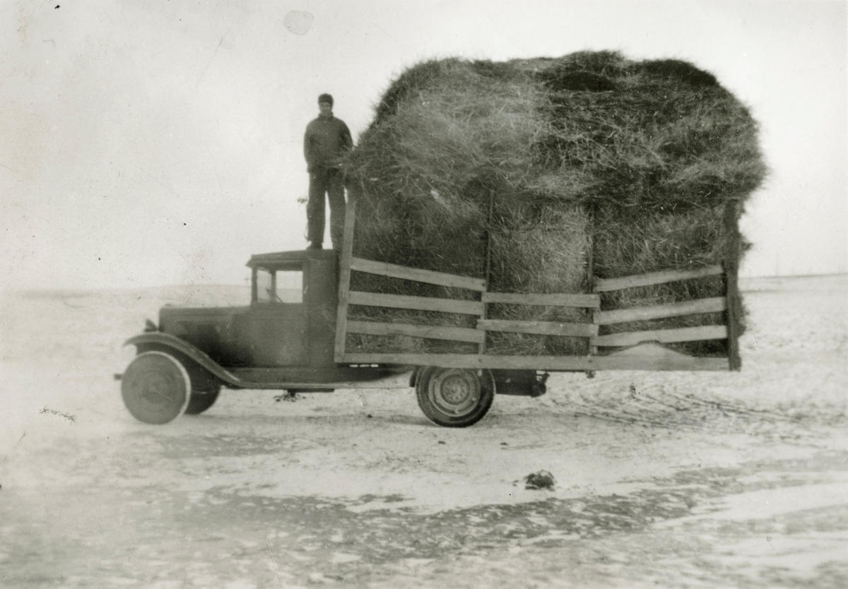 Lasteplanet er fullastet med høy. En mann står på lastebiltaket. Mulig Chevrolet 1929-30-modell.