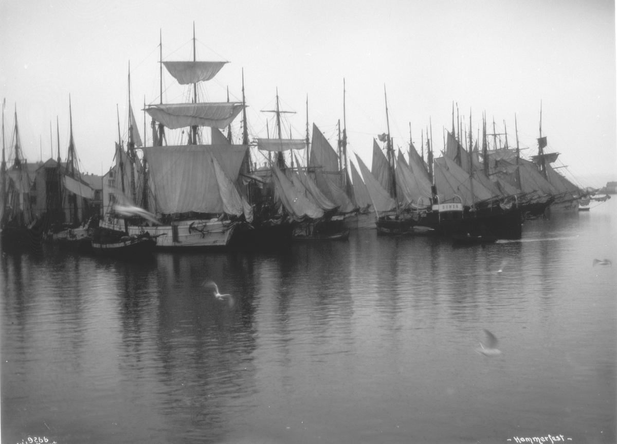 Tett med båter i havna i Hammerfest. Fotografert 24. juli 1908.