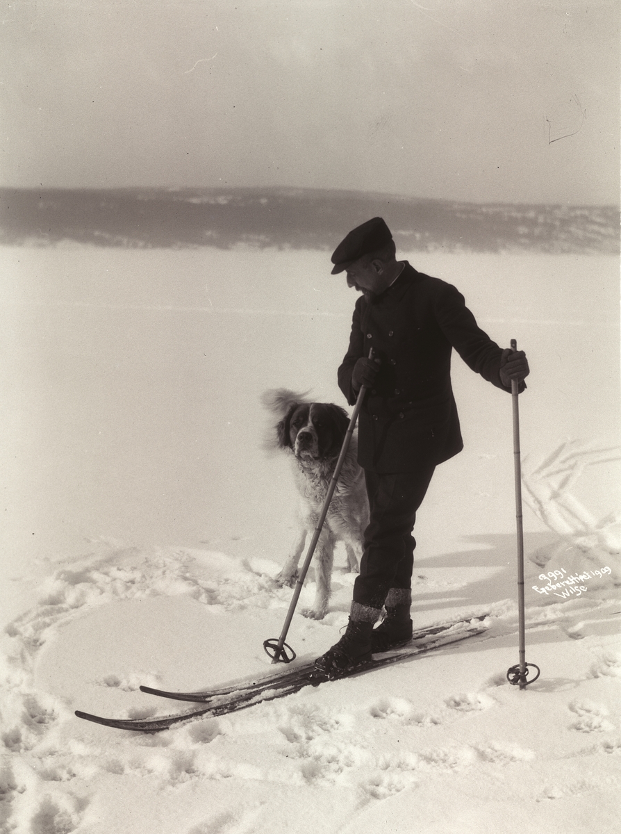 Roald Amundsen og hunden på skitur. Fotografert 7. mars 1909.