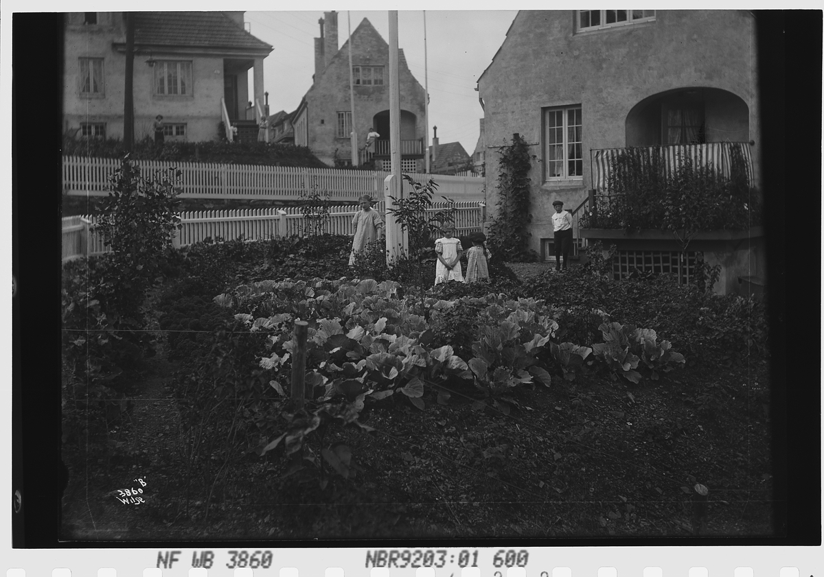 Hageanlegg med grønnsaker, tre jenter og en gutt innenfor gjerdet, murhus på begge sider av veien.