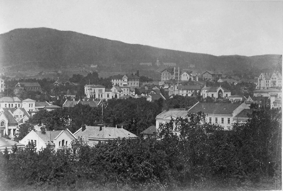 Ant. fra Homansbyen, med Gaustad sykehus i bakgrunnen. Fotografert 1923.