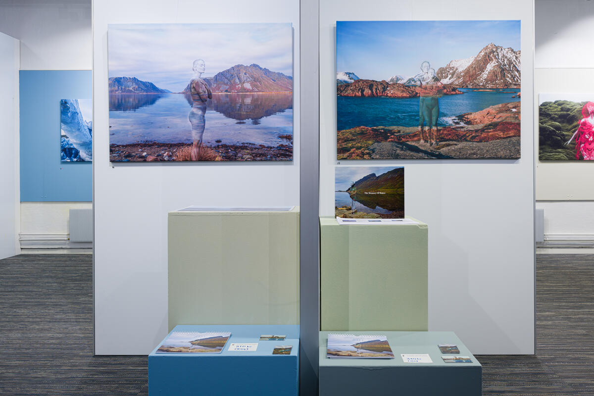 Utsnitt av en utstilling med landskapsbilder.