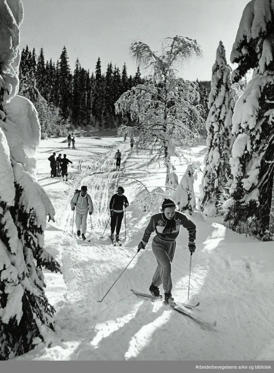 Illustrasjonsfoto. Skiløpere. "Vinter". Arbeidermagasinet/Magasinet For Alle. 1954.