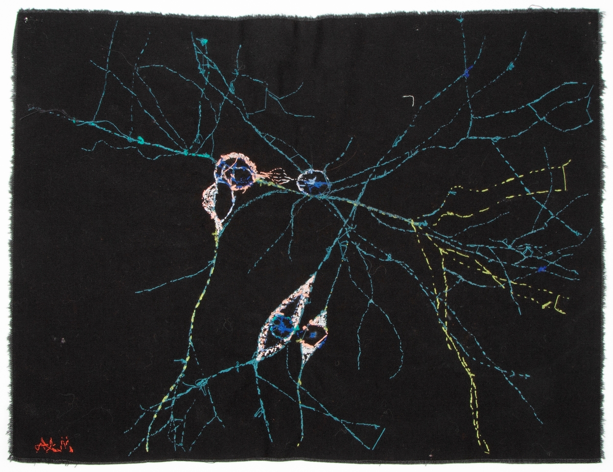 Motivet er en abstrakt representasjon av nervesystemet, med nervetråder og nerveceller. Motivet er brodert i ulike blå og grønne sjatteringer med innslag av rosa og gult.

Ifølge kunstner er temaet mutasjoner i genene som følge av radioaktiv eksponering ved atomkrig.