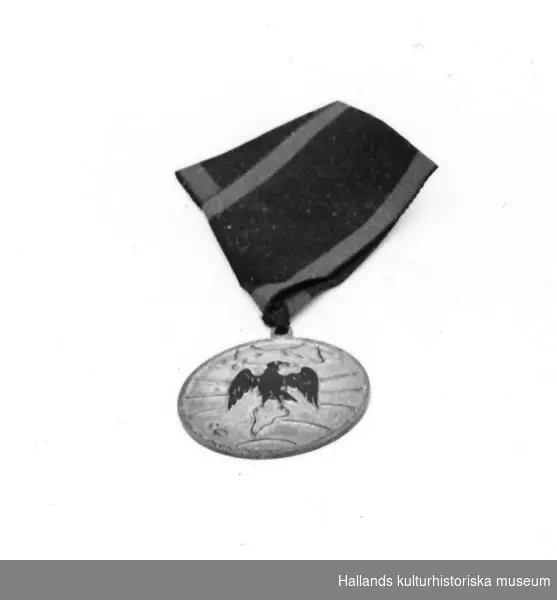 Svartaörnsorden. Ordenstecken av silver, rund platta med svart örn med svart och grönt bröstband.