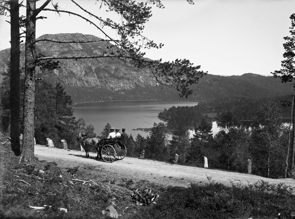 Storehaug?
Veien mellom Sande og Førde, Hest m.vogn
Fotografert 1900 Ca.