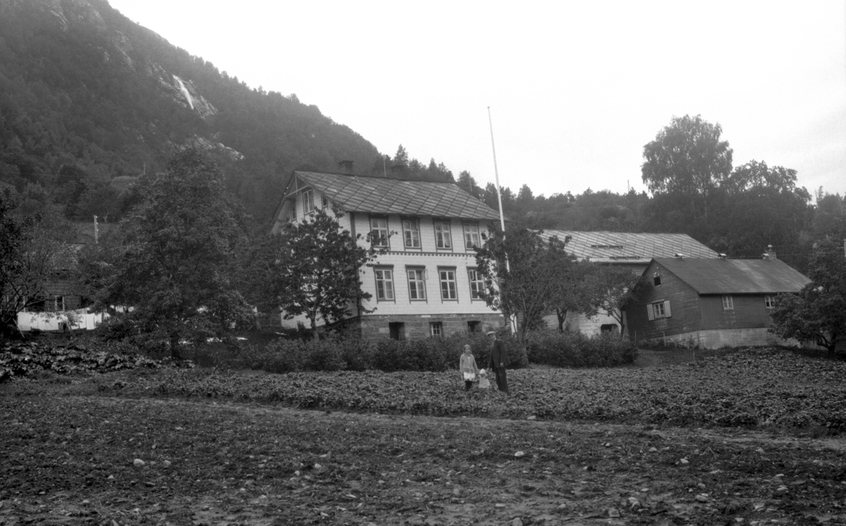 Lofthus fotografiske samling - Universitetsmuseet i Bergen, Fotobasen ...