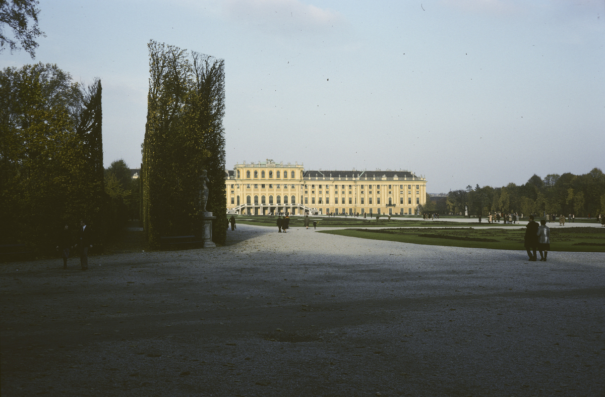 Schönbrunn palasset.