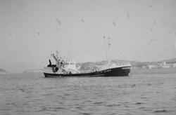 Sildefiskebåten Sjøvarden i Dalasundet i Kristiansund i 1970