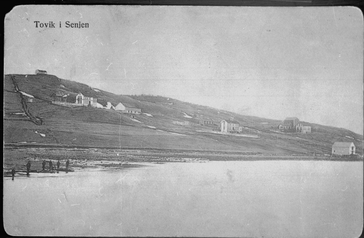 Bebyggelse i Tovik like etter år 1900.