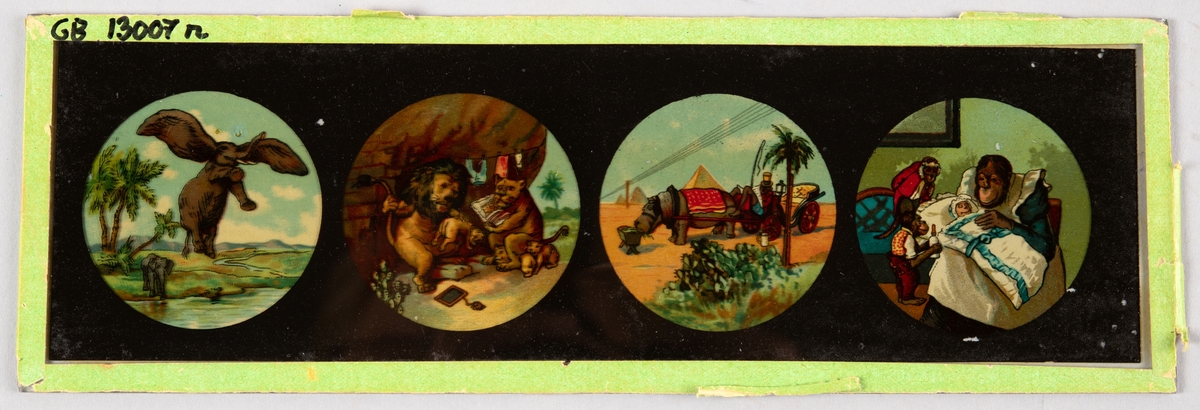 Serie med 4 bilder viser pike med hund, 2 gutter seiler i trestamper, pike med hest, og gutter spiller ball.