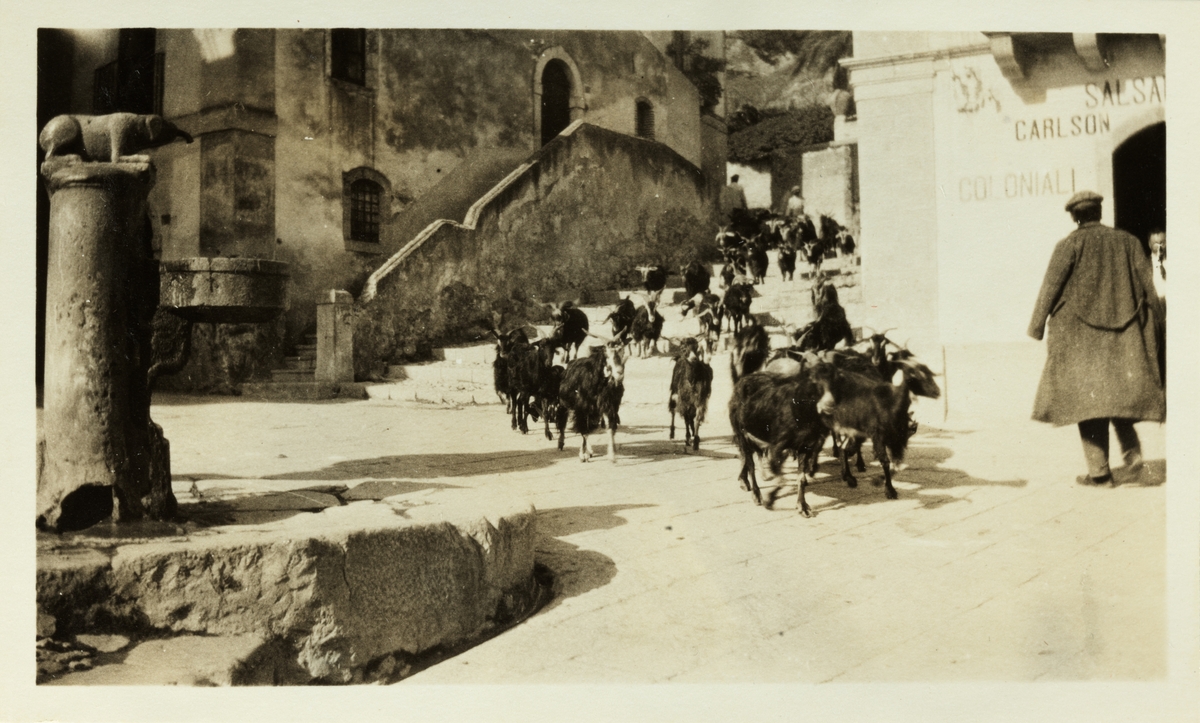 Turister og trekkdyr(esler?) ved det greske teatret i Siracusa på Sicilia. Fotografert januar 1927.