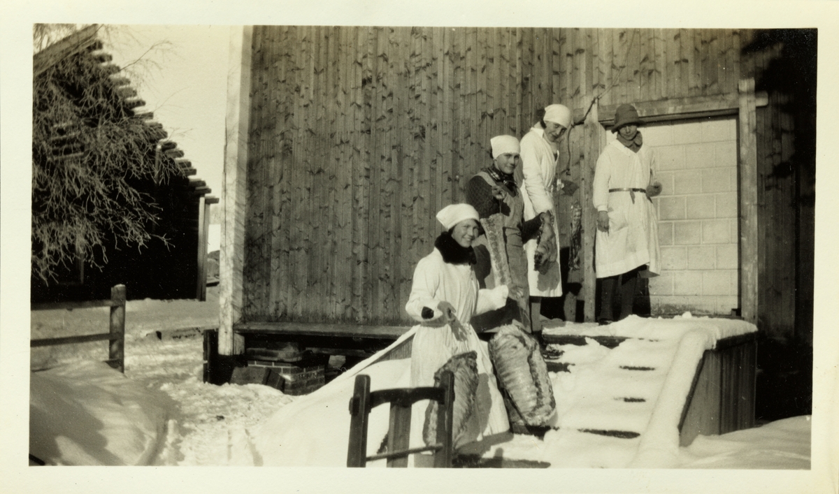 Fire kvinner i gang med slakting i 30 minusgrader på Bjerke gård i Grue, Hedmark. Fra venstre Signe Ringnes, Kitty Tschudi, Mossa Steen(?) og Kirsten Omsted. Fotografert vinteren 1928.