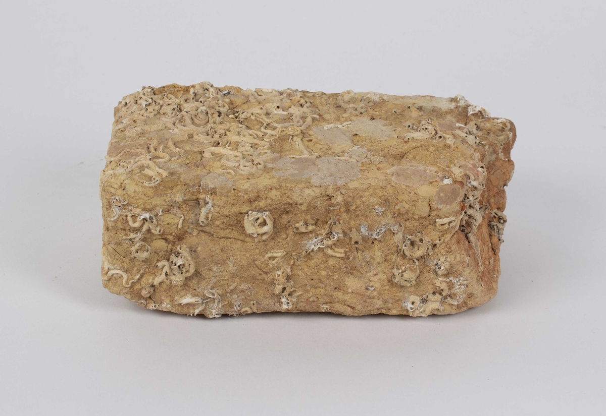 Diverse funn funnet ved dykking i Kjelstraumen i Austrheim kommune. Gul murstein av tegl. Ene enden av steinen er slått av.
