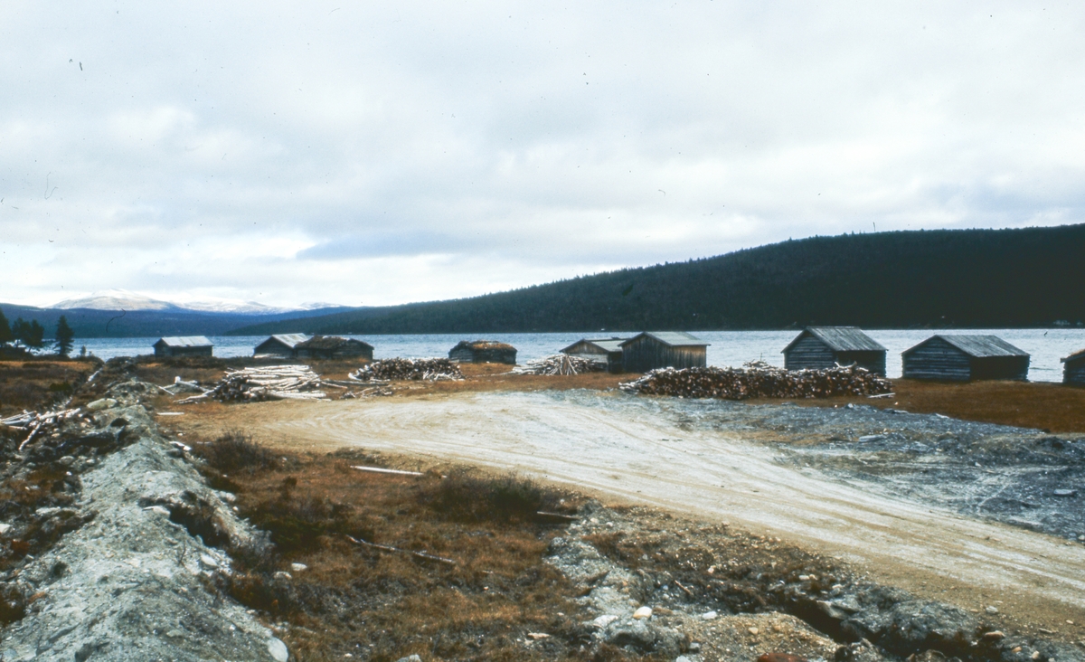 Båthus