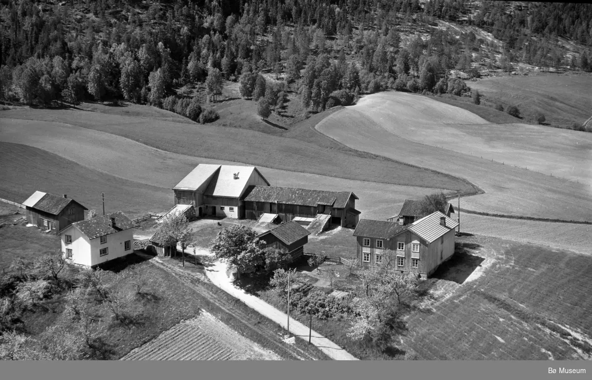 Flyfoto av Tveitan søndre 13. juni 1958.