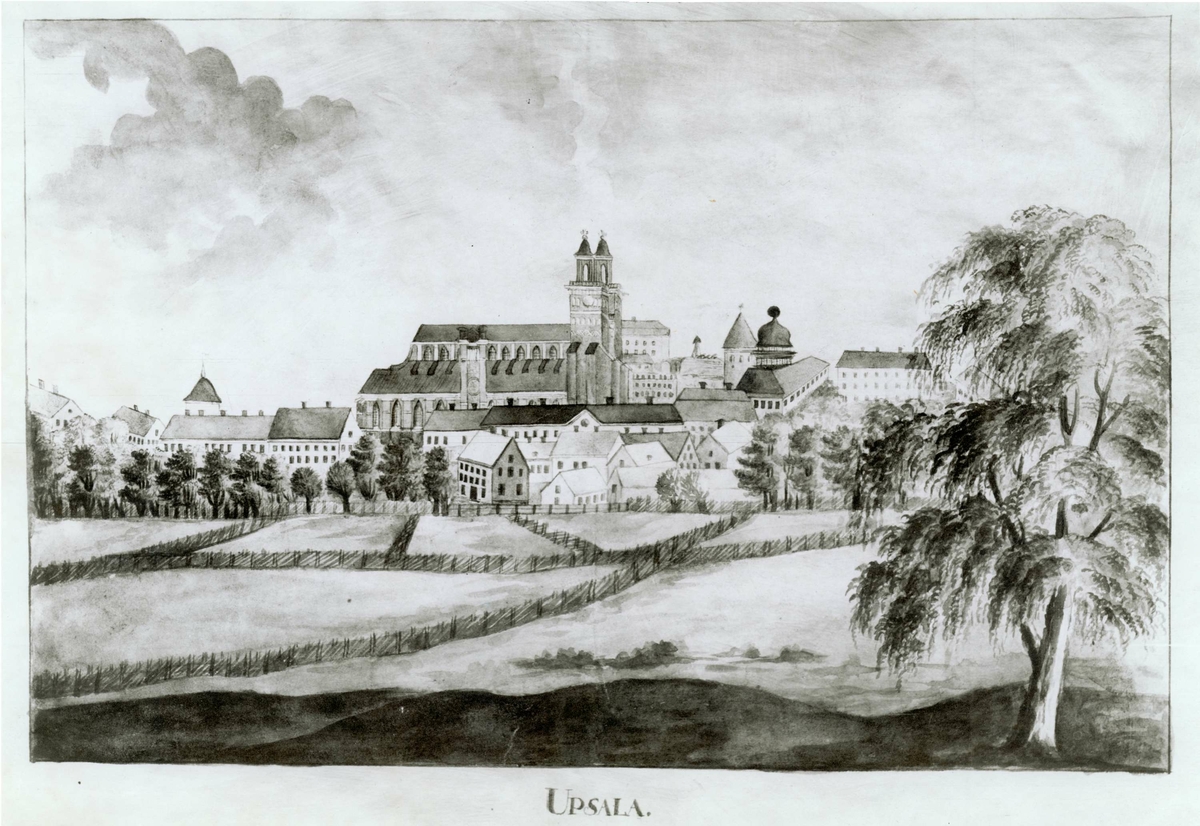 Teckning föreställande Uppsala sett från norr med domkyrkan i centrum, åkrar och gärdesgårdar i förgrunden, 1700-1800-tal.