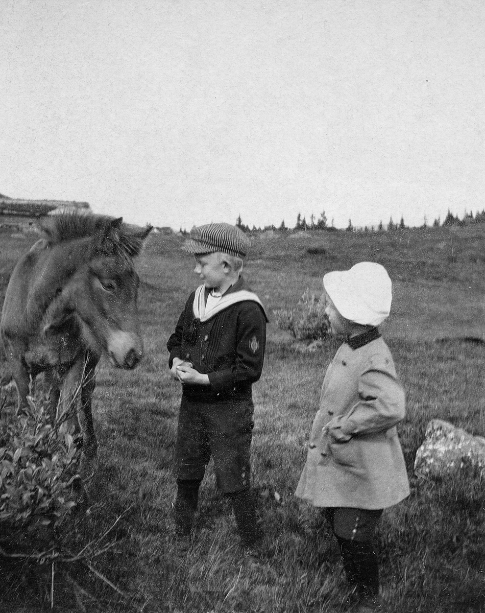 To barn og en hest i en eng. Gausdal sanatorium på Skei.