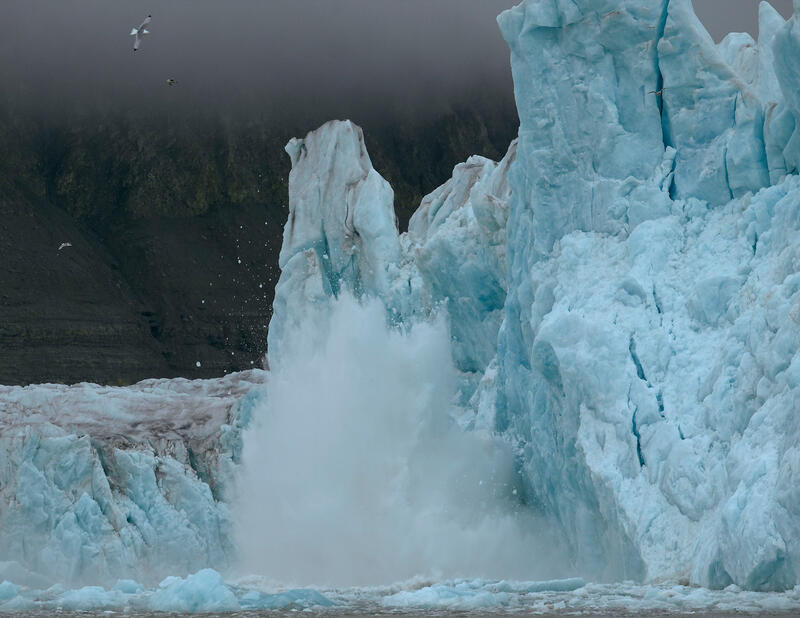 Bilde av isbre som kalver. En vannsøyle skyter opp i været.