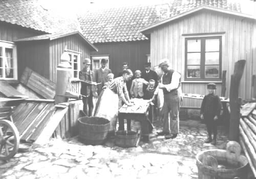 Laxrensning på Algernon Stenbergs gård.  Namn uppgifter genom att jämföra med bild nr 00063 där uppgifterna kommer från Severin Nilson i Halland.