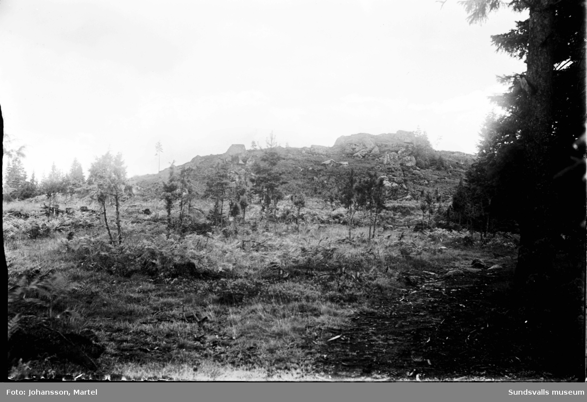 Vy mot toppen av ett berg. Troligen är det resterna av fornborgen på Borgaråsen i Skedvik som ligger nästgårds till fotografens hem.