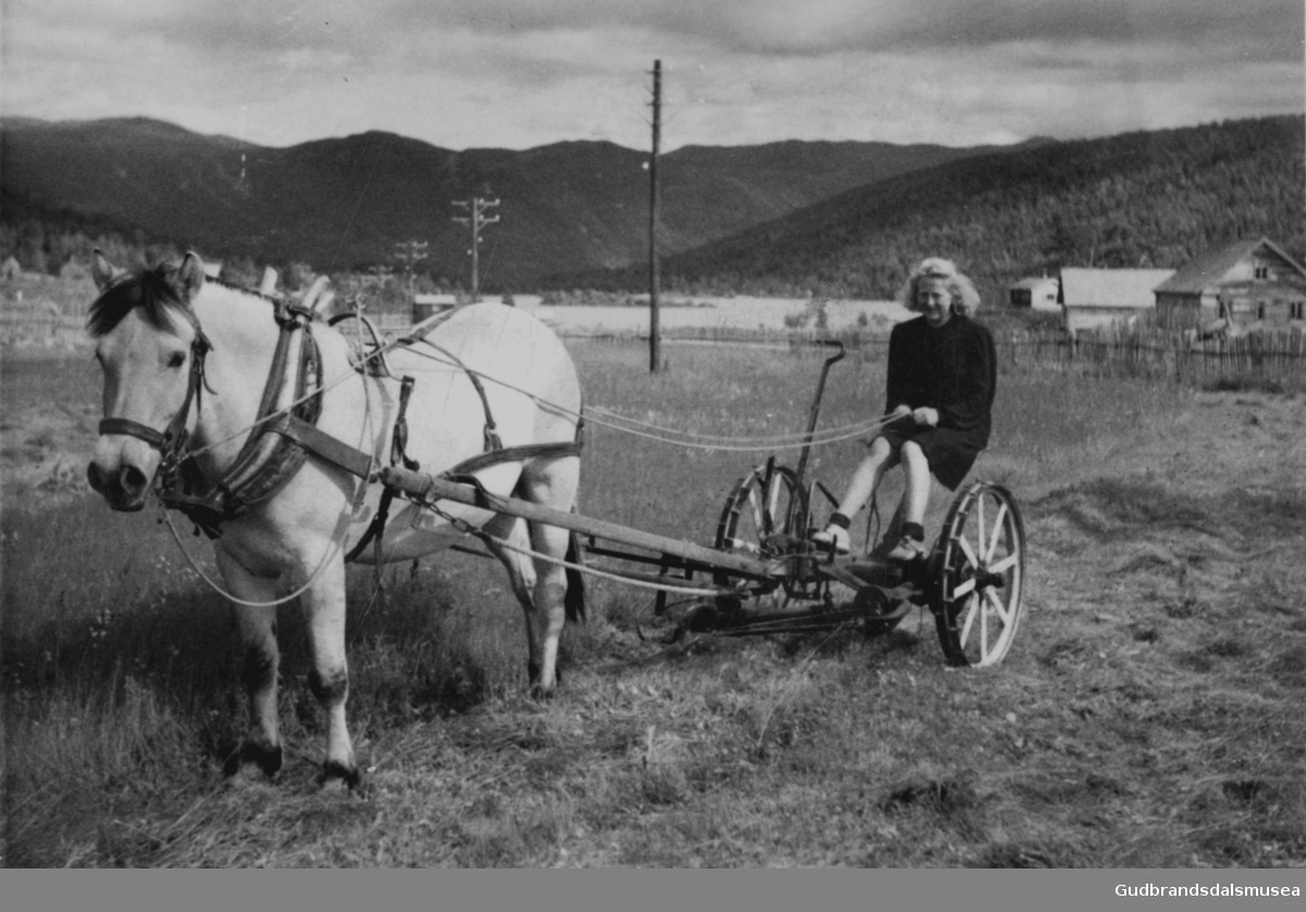 Brynhild Øyberg (f. 1925 g. Dagsgard) køyrer hesteslåmaskin på Nysetra