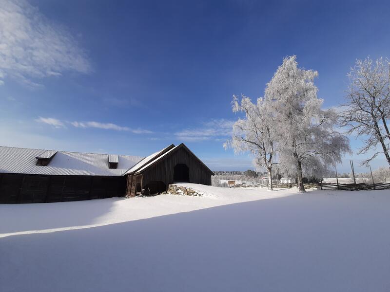 Bildet viser en låve og en stall som henger sammen. Bildet er tatt på vinteren. Det er masse snø på bildet.