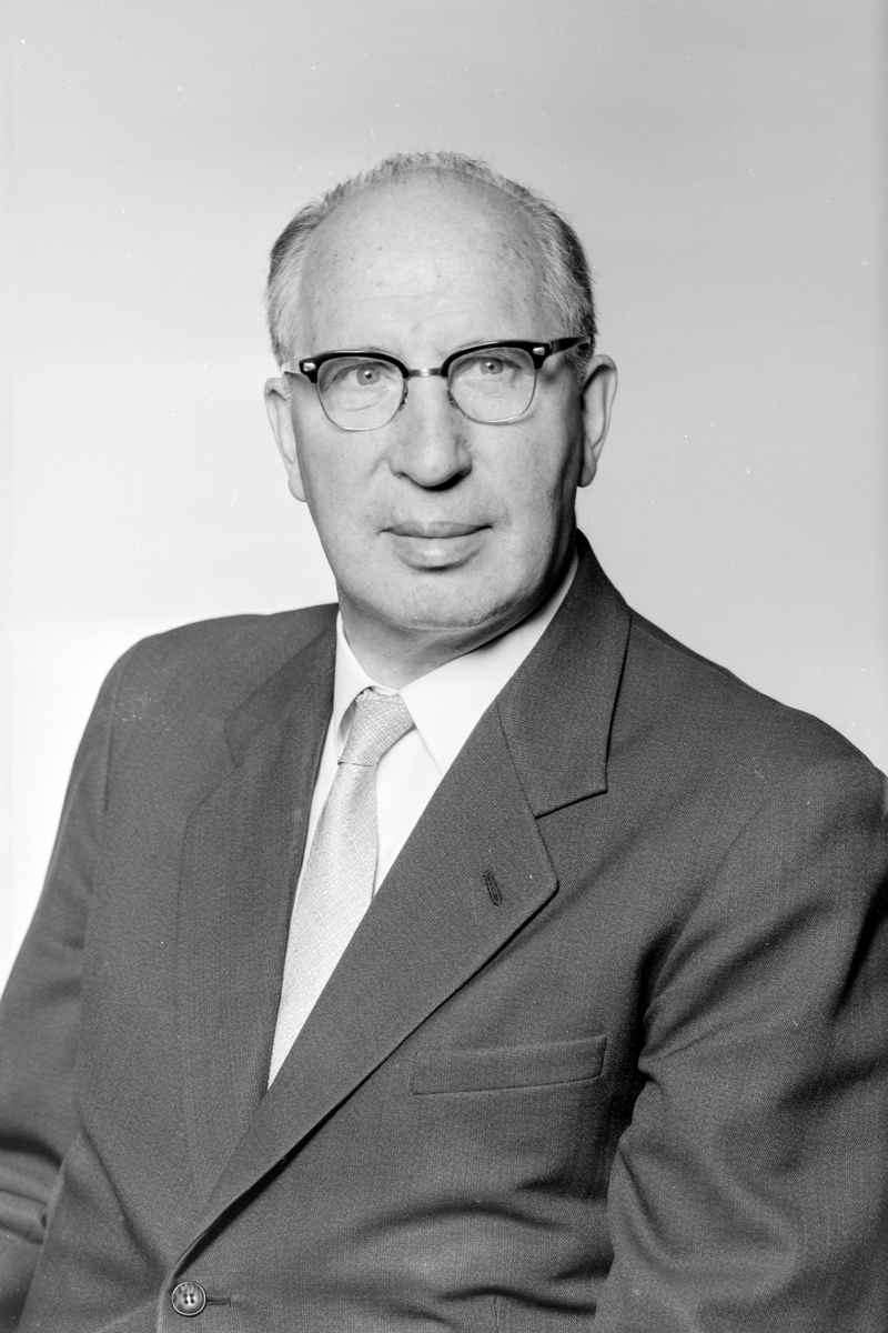 Overingeniør Wilhelm Bull Engelstad.