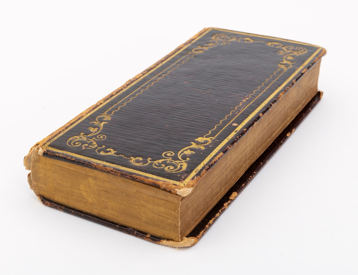 Kingos salmebok fra 1849; avlangt format, gotisk dansk-norsk skrift; brunt skinn med gullornamenter og skrift på ryggen, for- og bakside. Teksten "Psalmebok" skrevet på ryggen av boken.
