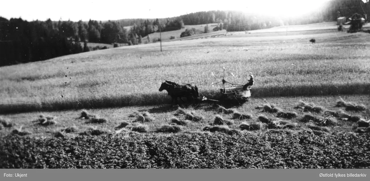 Skuronn med hester og binder på gården Kirkerud i Spydeberg 1935. Syver Liverud sitter på hesten.