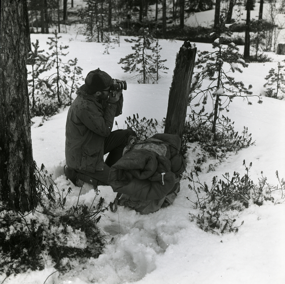 En man sitter på huk och fotograferar en tjäder vid Häggtjärnen i Rengsjö 1980.