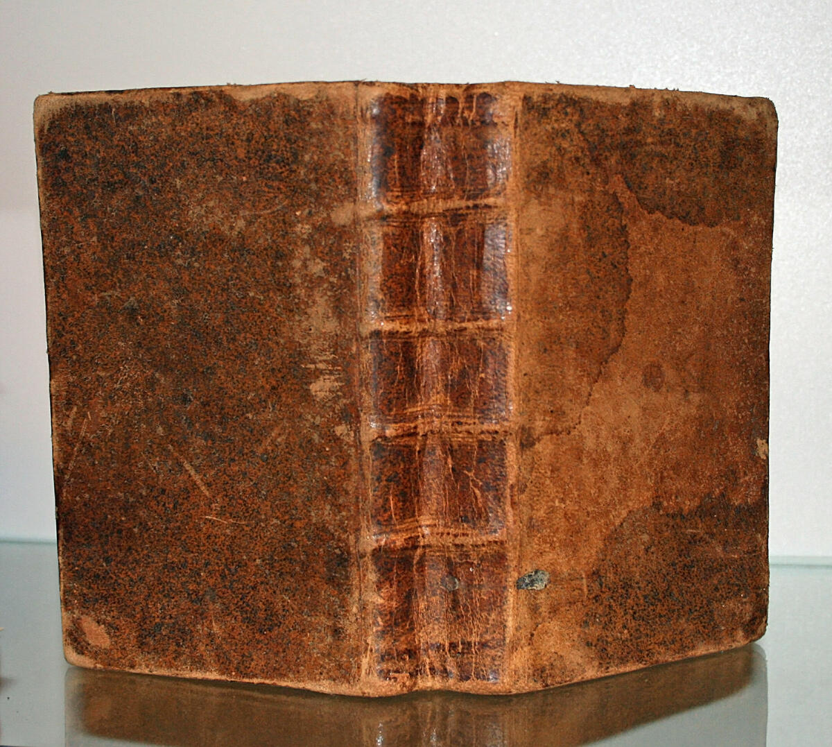 Bibel, tryckt 1755. Petrus Fjellström, kyrkoherde i Lycksele, var den som först översatte Nya Testamentet 1755 till lapska språket.