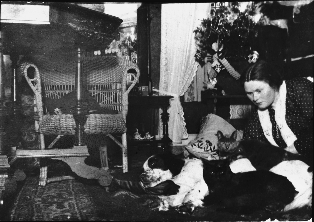 Kvinne  på gulvet i en stue, sammen med hund og katter. Juletre i bakgrunnen.