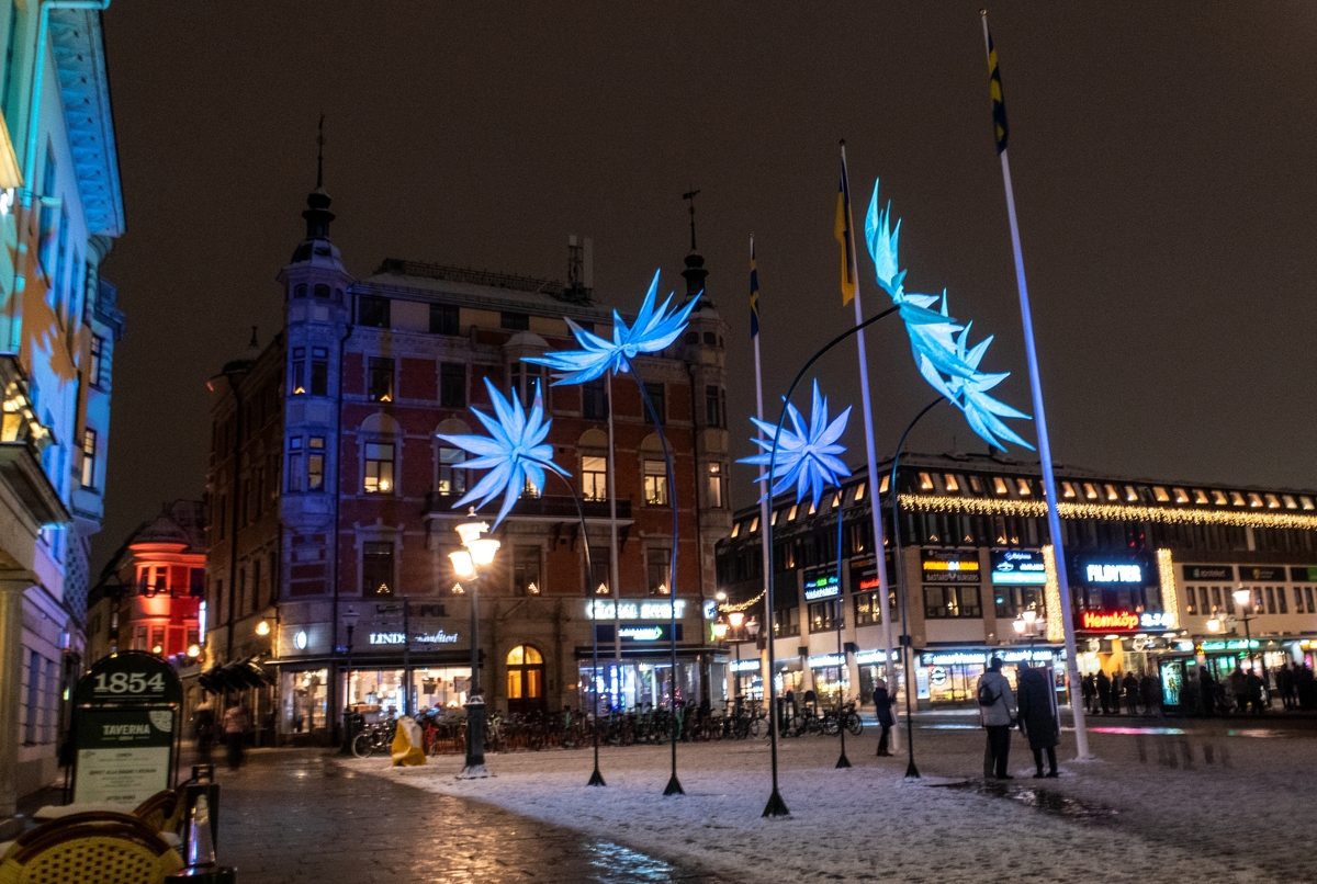 Vinterljus i form av blommor Bild Linköping / DigitaltMuseum