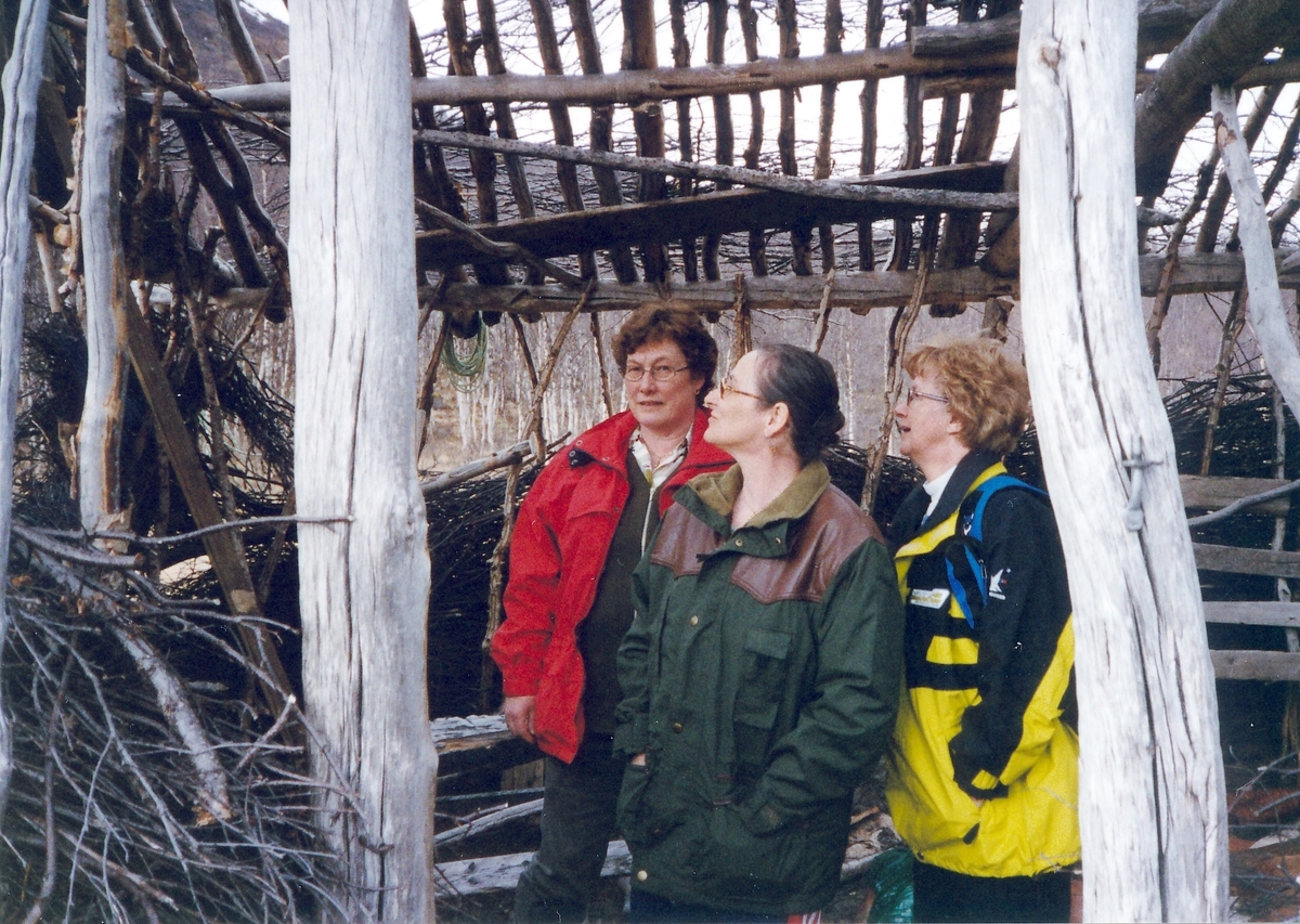 Gamme under restaurering, Ner-Kaperdalen på Senja. 2001.