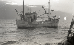 Småtråleren "Packing" på fiske utenfor Vardø