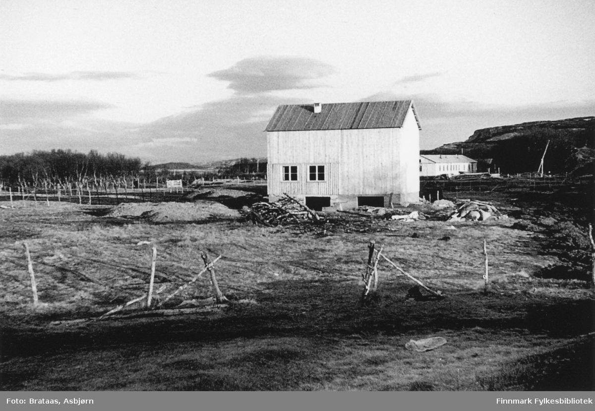 Fjøsbygging i 1947. Sykebrakka i bakgrunnen.