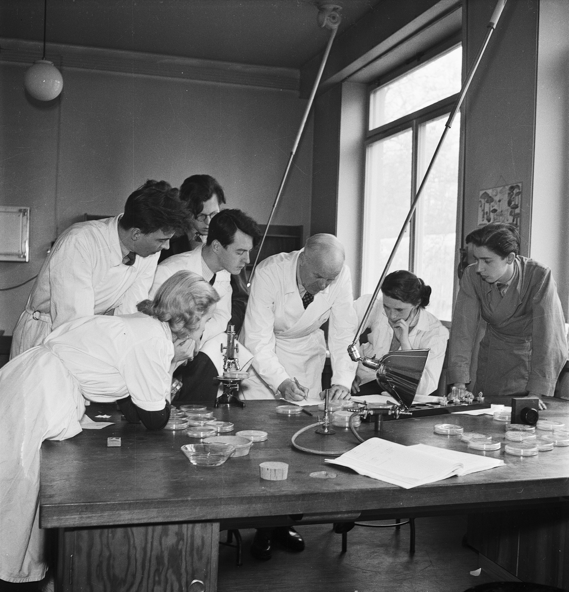 Laboration i fysiologisk botanik, Uppsala 1952