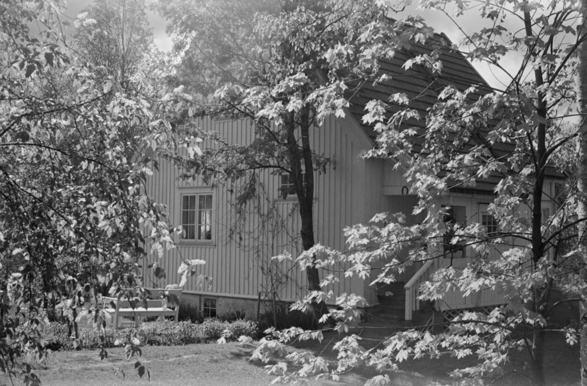 Sommer i Anne Mouruds veg 29, Lillehammer.